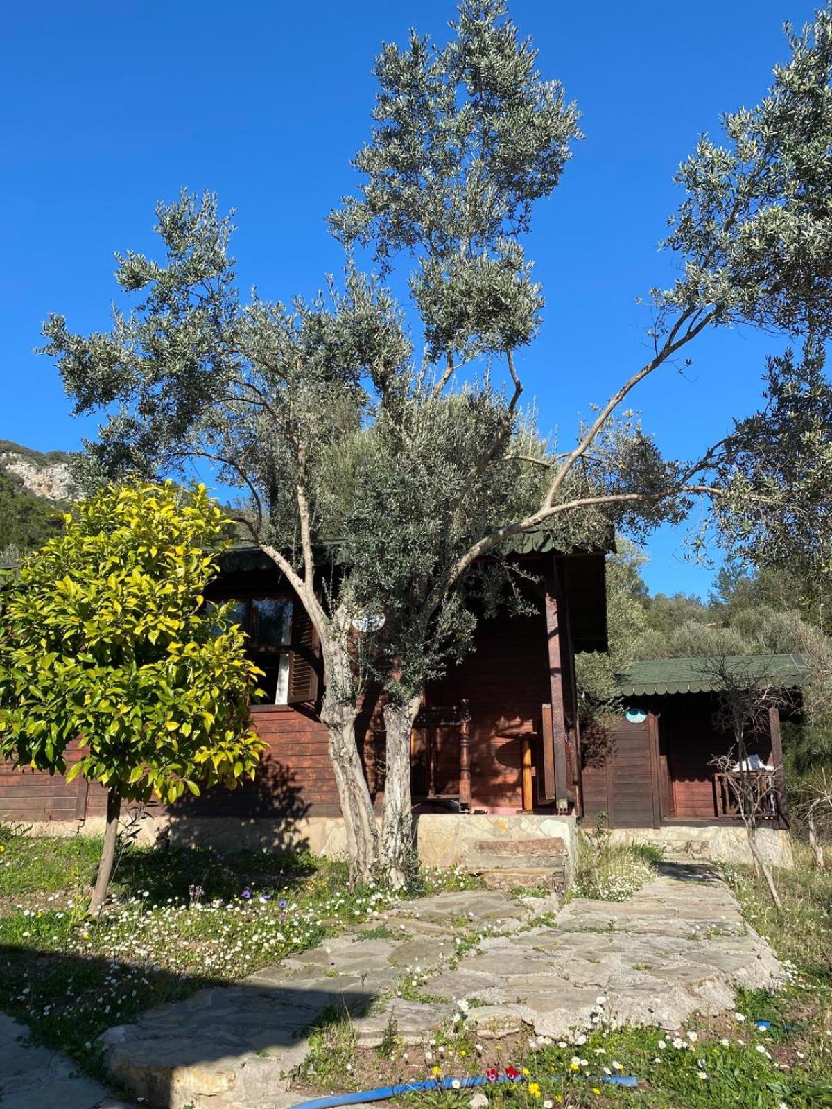 Отель Olympos Talara By Arzum Kumluca Экстерьер фото